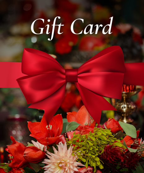 $100 E-Gift Card