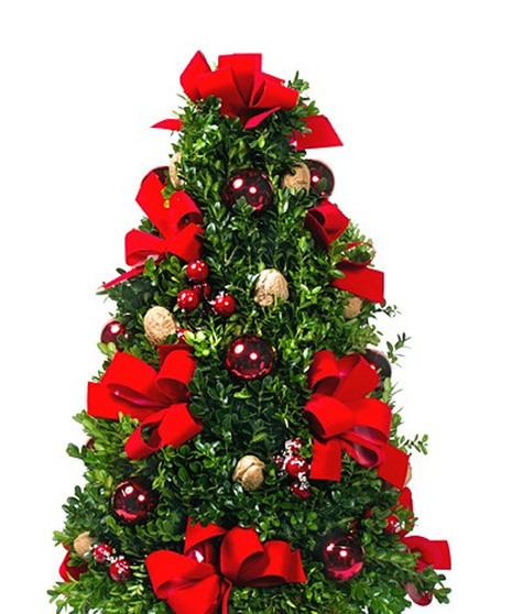 Boxwood Tree Design Class - Dec 13 @ 1 p.m.