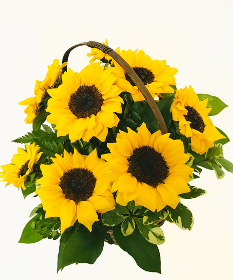 Basket of Sunflowers