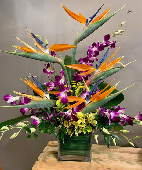Tropical Flowers