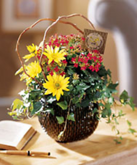 Just for Dad Planter