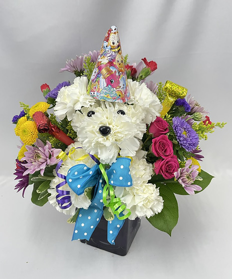Birthday