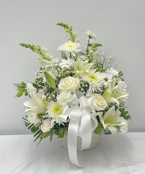 Sympathy & Funeral