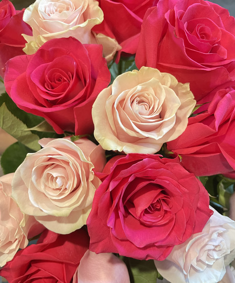 Roses