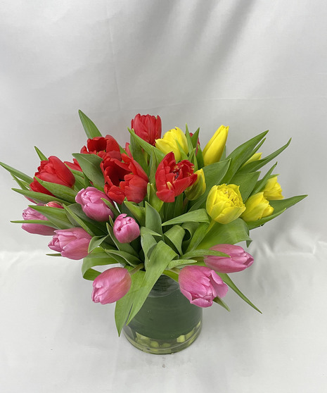 TULIP CAROUSEL