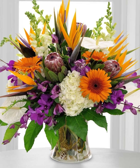 Breathtaking Abundance